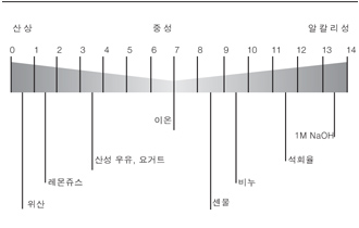 일상 생활에서 접하는 물질의 pH값